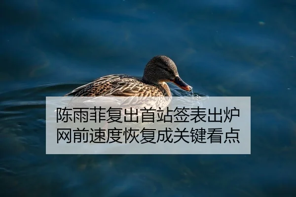 陈雨菲复出首站签表出炉 网前速度恢复成关键看点